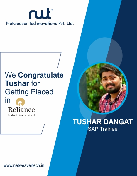 netweaver-technovations